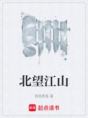 北望江山txt下载