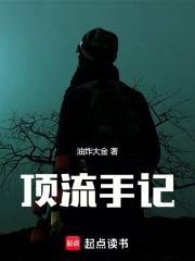 顶流手记txt下载